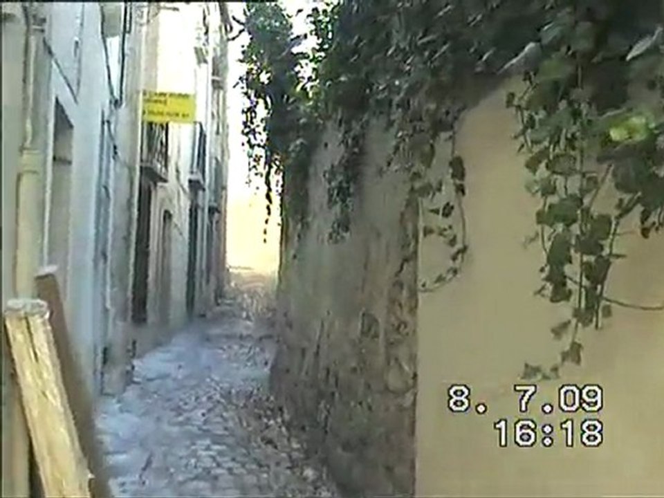 le vieux montpellier