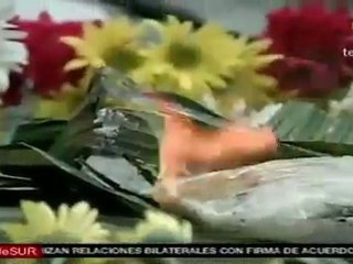 Familiares recuerdan a víctimas de guerra en Guatemala