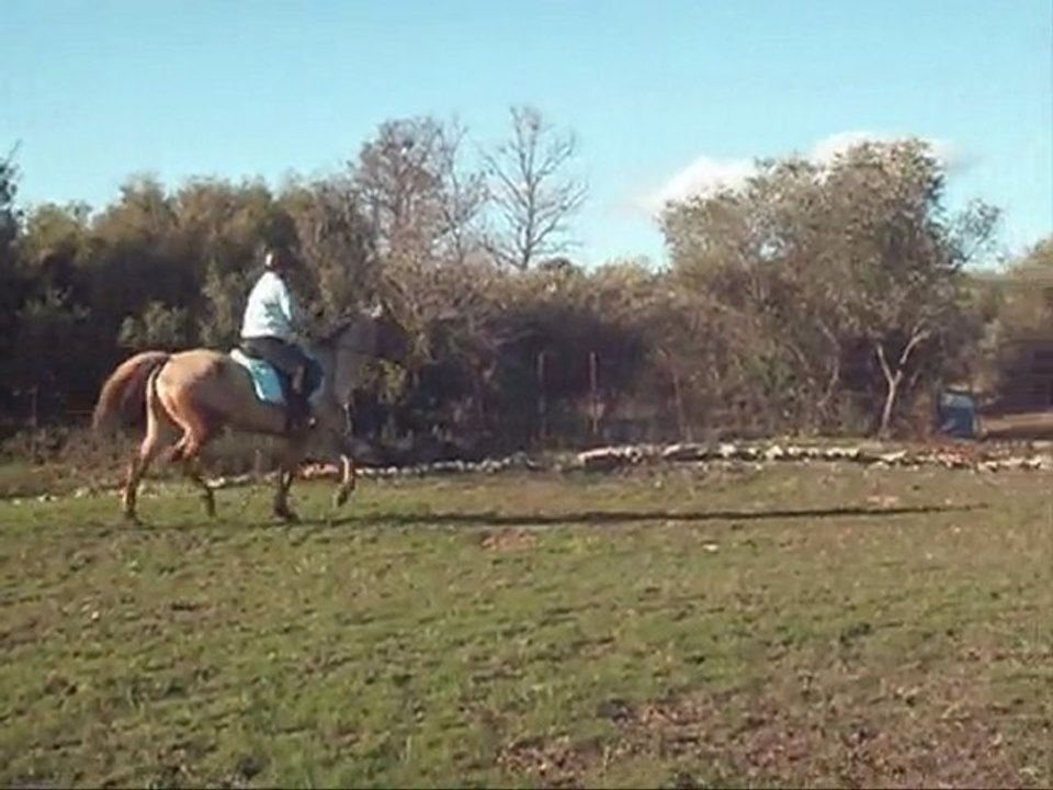 Jumper 26/02/10