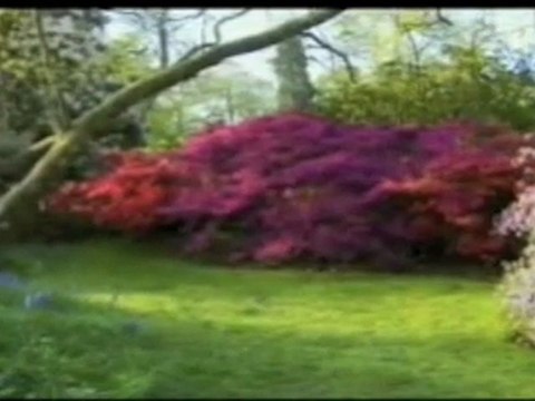 Le Prophete Mohamed (saw) 4