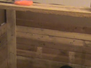 CHIOTS ULLA DE LA LI  NOIRE ET BURNING DES PRINCES D ARAGONE