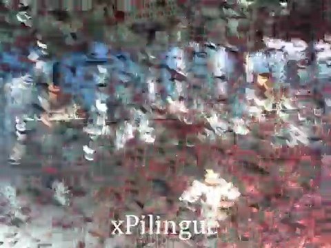 Tokio Hotel Bruxelles 25/02/2010 Forever Now