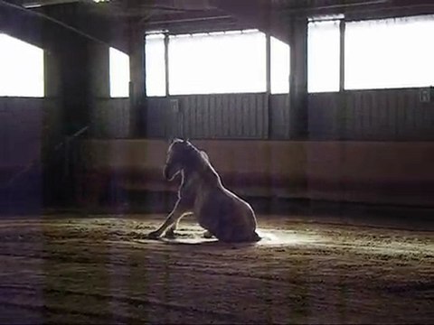 Semaine de Stage - Vacances de février