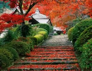 小さい秋見つけた (chiisai aki mitsuketa)