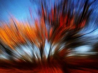 Mientras duermes. Tierra de nadie