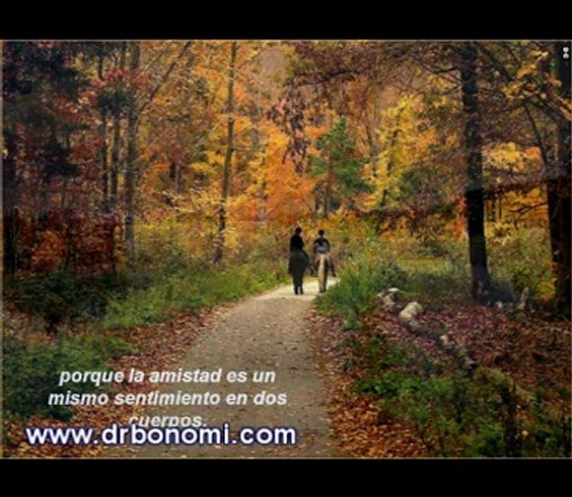 Video 119 EL SECRETO en youtube, pelicula, video, dvd, tv