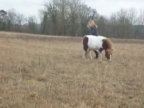 galop dans les champs !!
