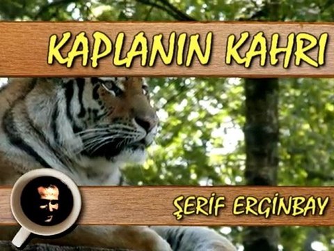 = KAPLANIN KAHRI, Şerif Erginbay, Müzik: R. Arduini
