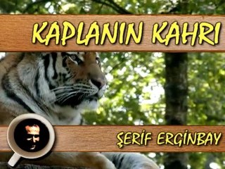 = KAPLANIN KAHRI, Şerif Erginbay, Müzik: R. Arduini