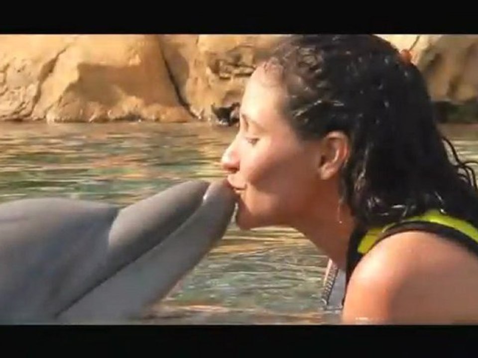 Swimming with Dolphins