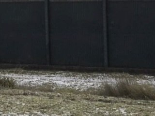 Voices from Yarl's Wood - update 1