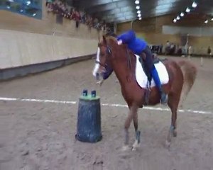 Apple Five Cherveux 31 Janvier