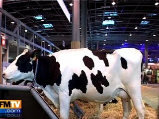 Le Salon de l'agriculture démarre