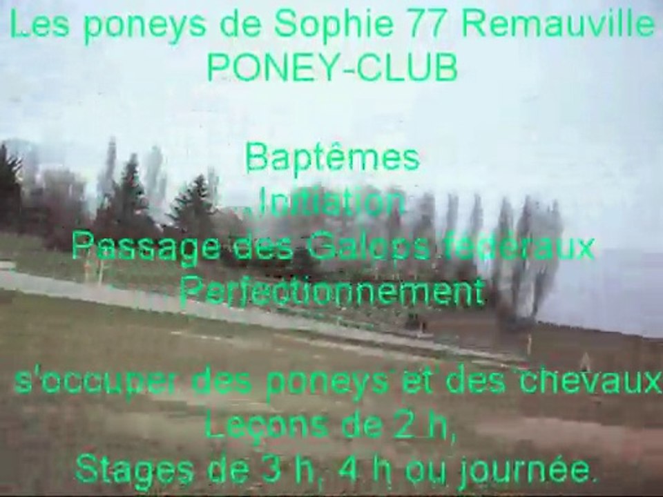PONEY-CLUB Les poneys de Sophie 77 à REMAUVILLE.