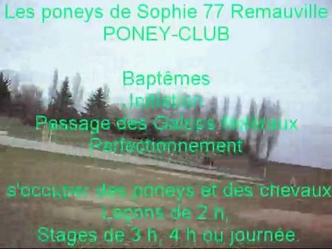PONEY-CLUB Les poneys de Sophie 77 à REMAUVILLE.