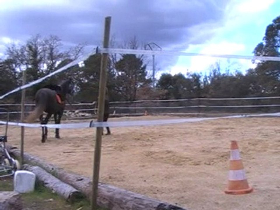 Galatéo séance du 26/02/10