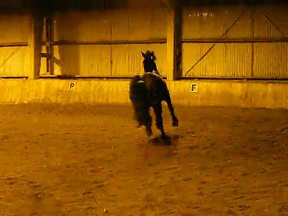 Nabuckotte =)