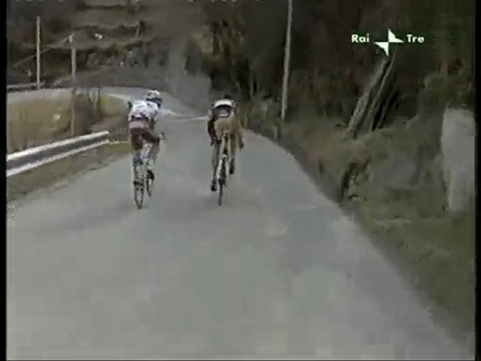 Capecchi & Nocentini