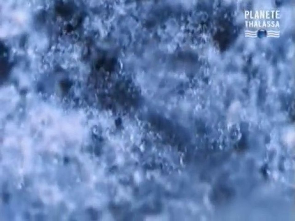 l'iceberg qui a coulé le titanic 1