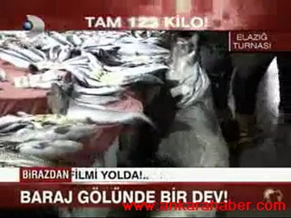 turnabalığı