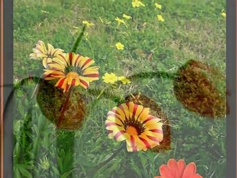 Dursun Ali Erzincanlı - Ümmü Zer