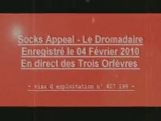 Socks Appeal - Le Dromadaire @ Les Trois Orfèvres