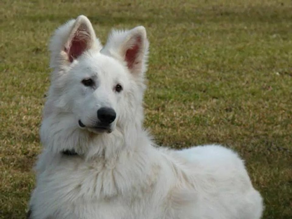 obée samedi 27.02.2010