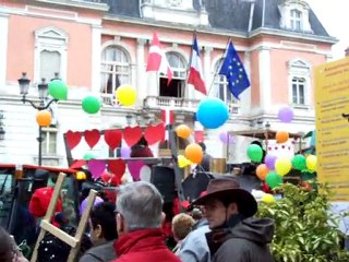 étoile des neiges