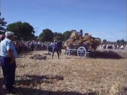 Montaillé_ramassage des gerbes