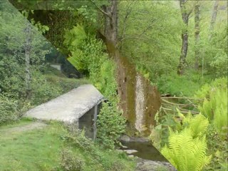 Ordu' nun Dereleri - İsa Kara