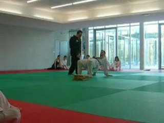 taekwondo demo attila koubiak  LE KO DE KOUBIAK