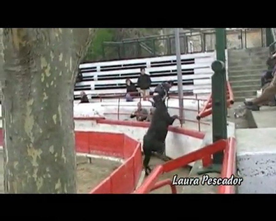 Montfrin - 27.02.2010 - Entrainement Chauvet