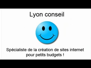 Lyon conseil, une petite pub pour commencer !