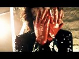 the GazettE - Before I Decay PV