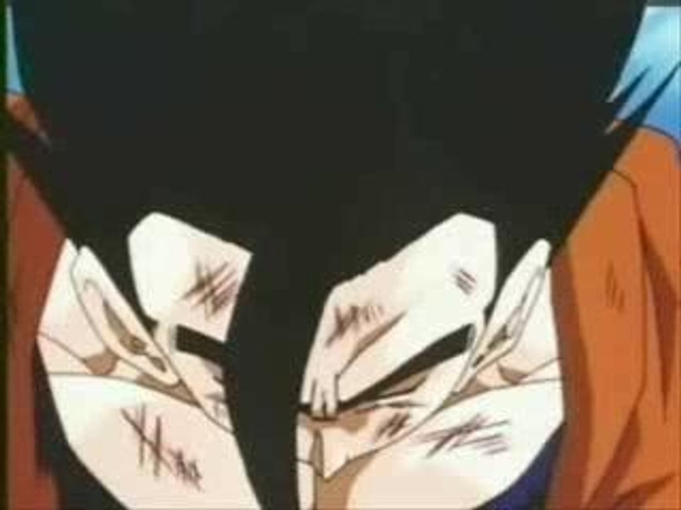 vegeto