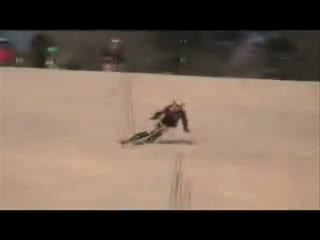 Studium: Your Guide to Higher Education