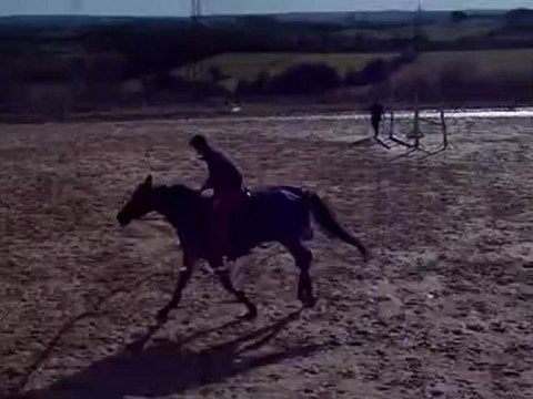 Nathan & Perle en Saut d'obstacles 2.