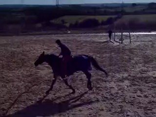 Nathan & Perle en Saut d'obstacles 2.