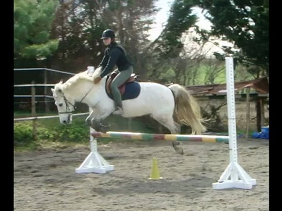 Khéops, 2eme cours d'obstacle