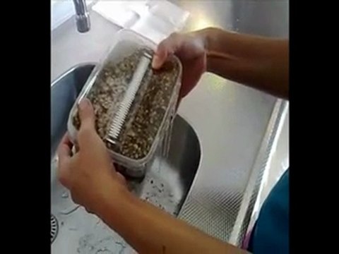 Instructions Magic Mushrooms Grow Kit - PART I - getmagic.eu