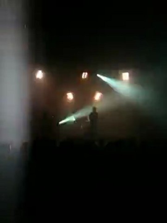 The Wankin Noodles Rennes Cité RockElectrik