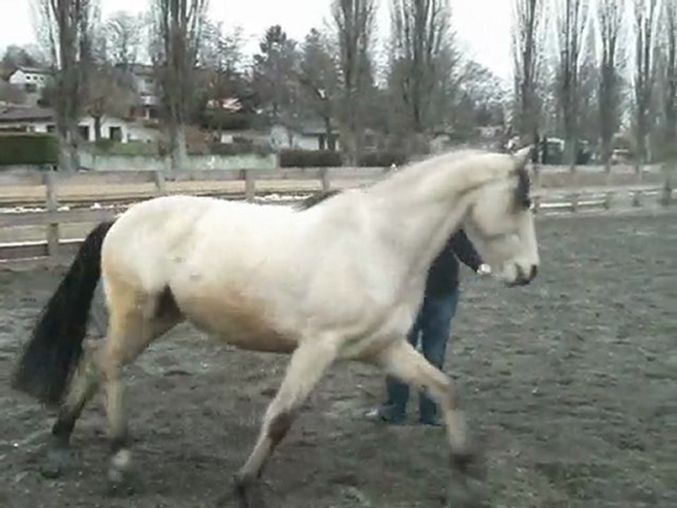 Poseido - Liberté - 27.02.10