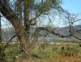 8.(shakira(eleva mi alma)