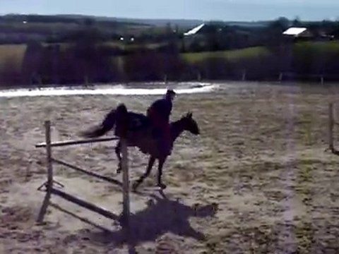 Nathan & Perle en Saut d'obstacles 3.