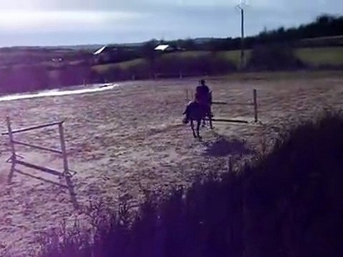 Nathan & Perle en Saut d'obstacles 4.