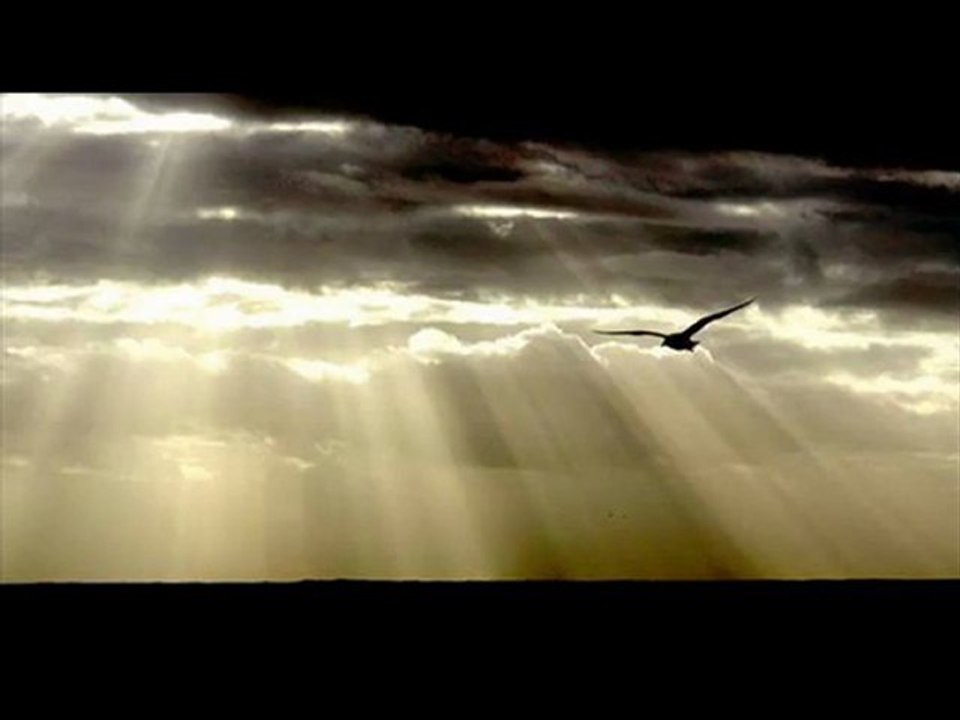 Az Karkhe Ta Rein --- Majid Entezami