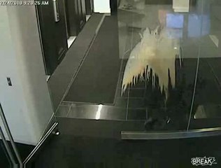 Un patron se prend une vitre en pleine face avec son café !