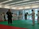 taekwondo demo coup de pied sur racquette d'Attla