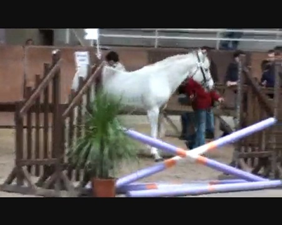 Cyrano Pondi
