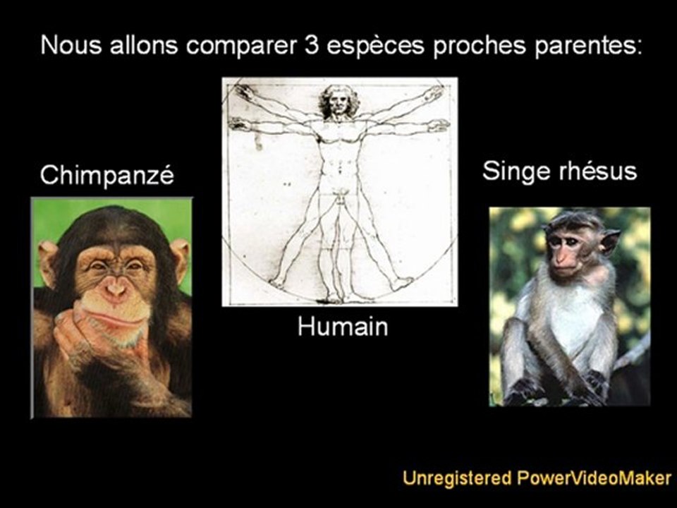 Preuves de l'Evolution - Partie I